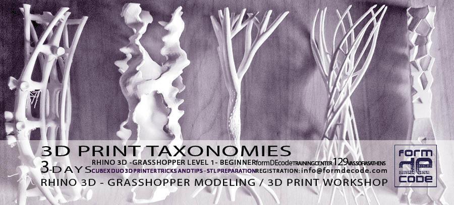 Taxonomies Dendroids Rhino+Gh